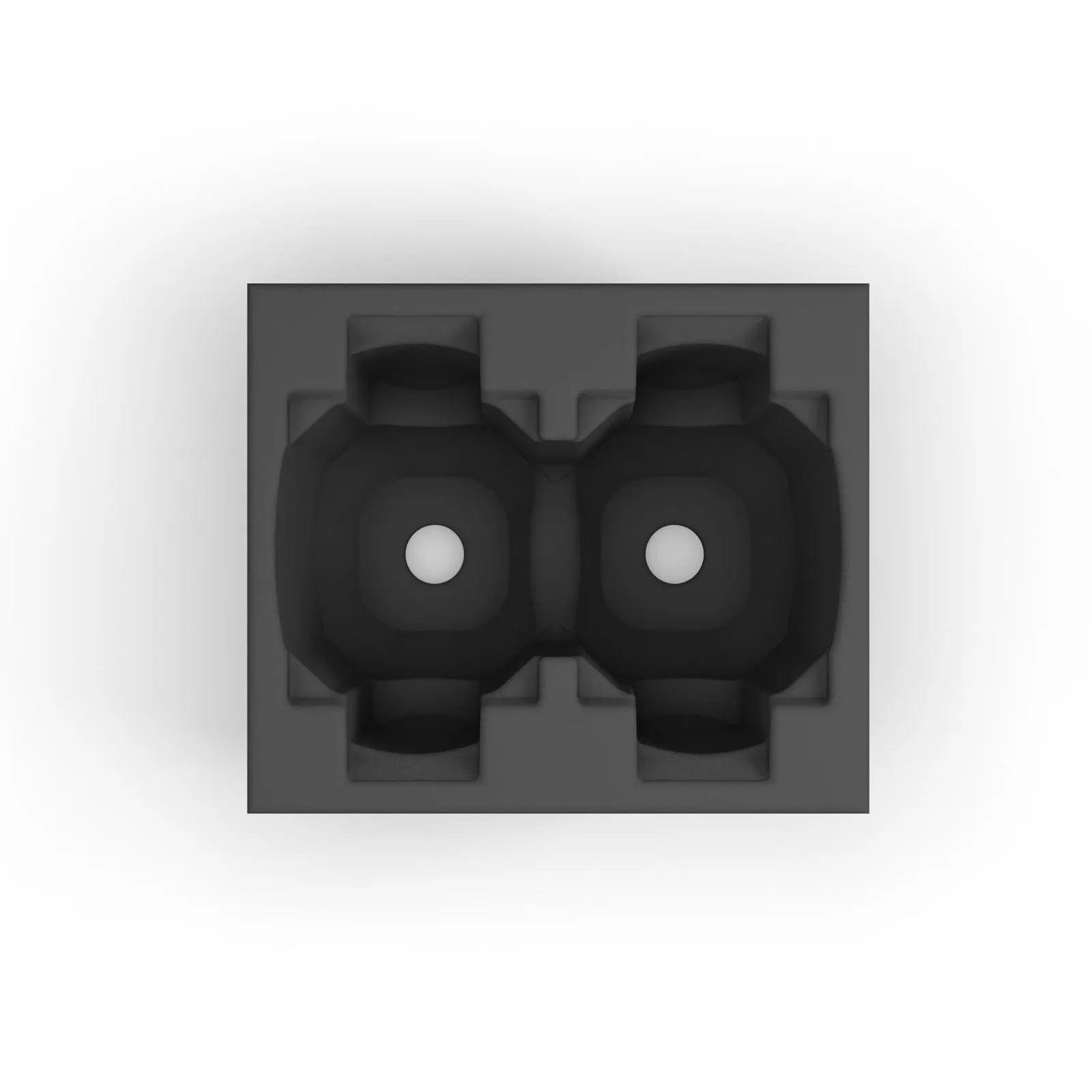 CAMEO AURO® SPOT Z300 INSERT Insert en mousse pour 2 x CLASZ300 (5/5)