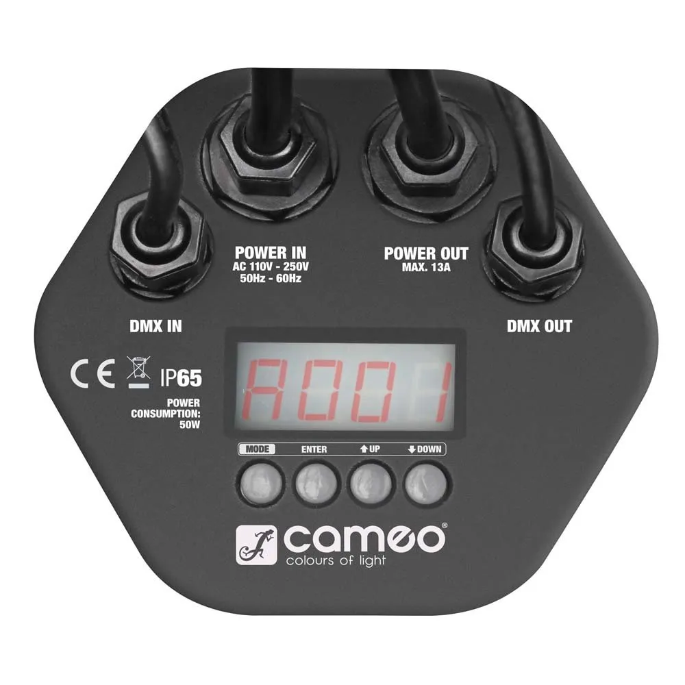 CAMEO STUDIO PAR TRI 12 IP Projecteur Outdoor PAR TRI Colour LED 12 x 3 W RGB avec boîtier noir (3/4)