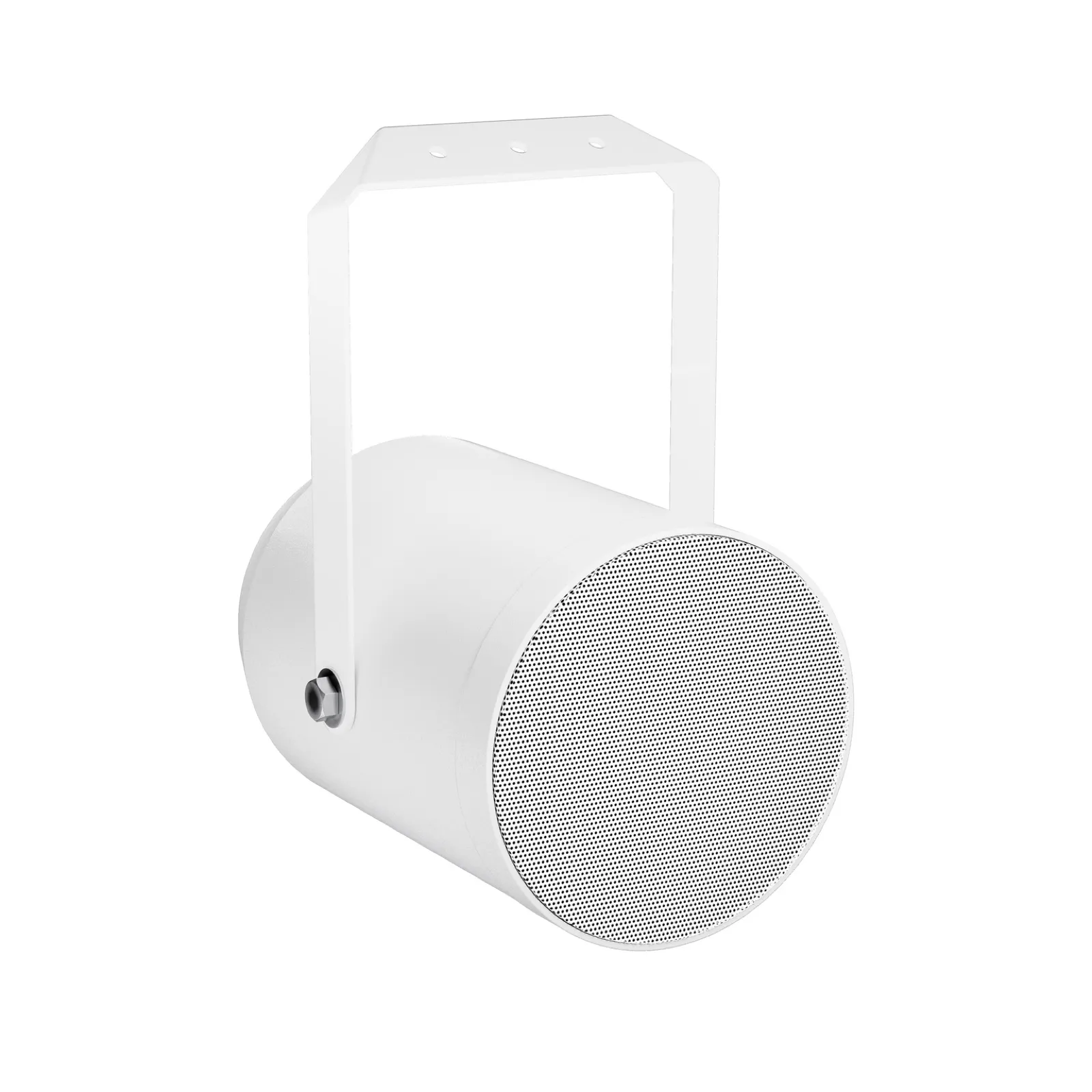 LD Systems CE P10 enceinte-projecteur sonore 10 W