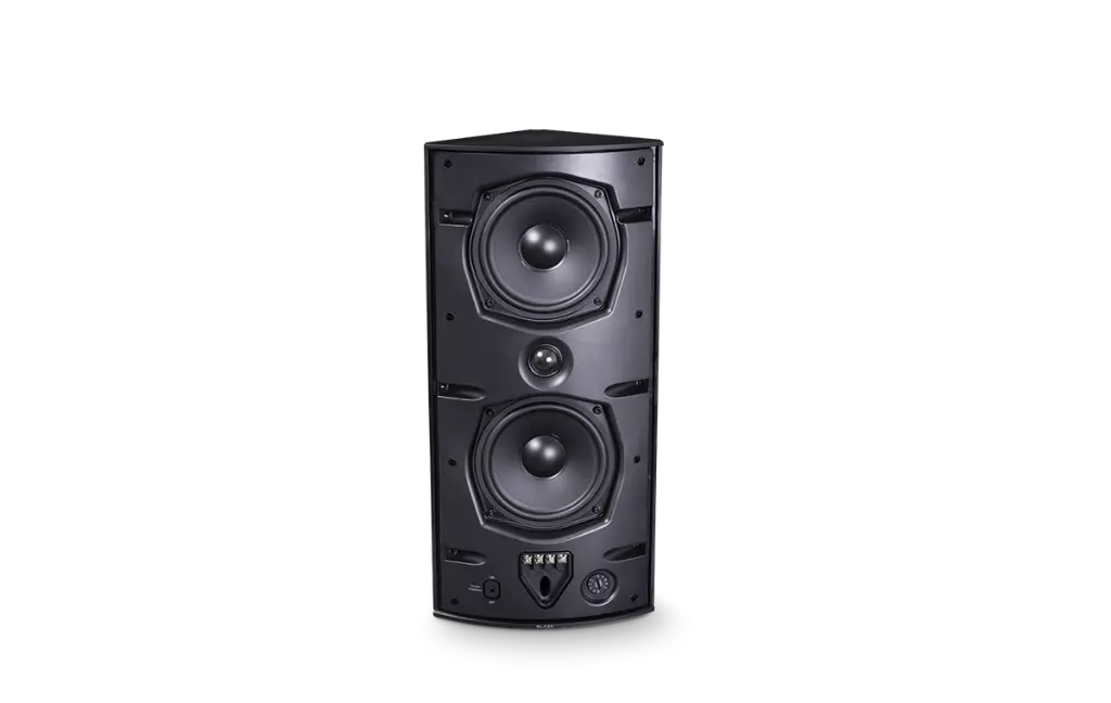 BLAZE Enceinte Multiusage Ci5-V 80 W / 320 W Black (PAIR)