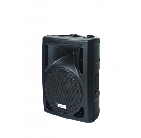 [SPC-10] Enceinte 2 voies bass-réflex 10" +driver 25 mm - 8 Ohms/120 W SPC-10 RONDSON
